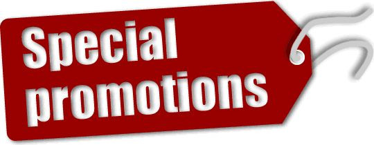 Brain Support - Ginkgo Biloba Extract 120mg - 1B