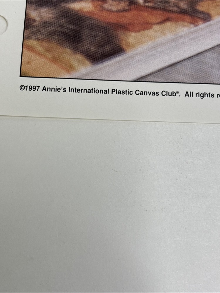 Cat Birdhouse Annie's Attic Plastic Canvas Pattern Page