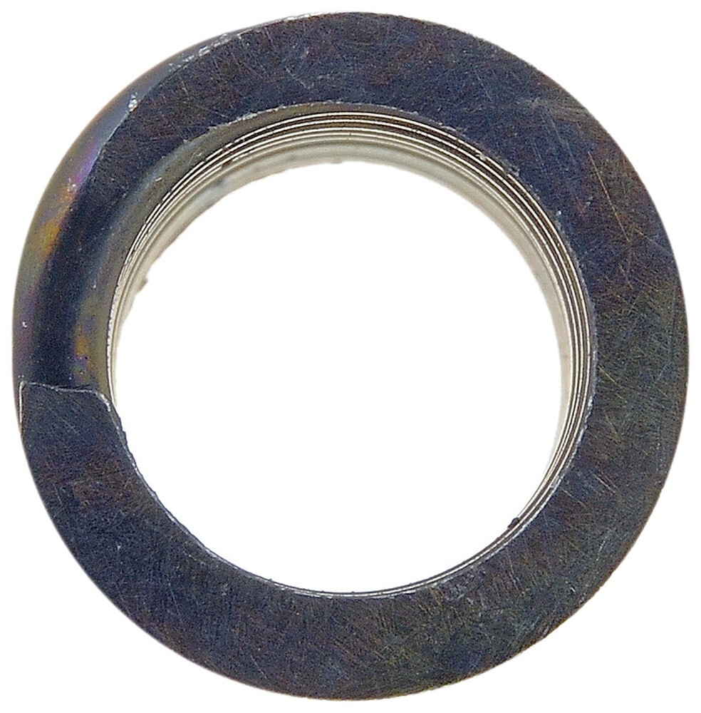 Hinge Pin Spring Dorman/Help 38436