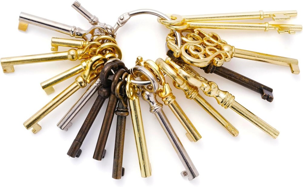 Universal Skeleton Keys Replacement 19Pcs Hollow Barrel Skeleton Key Set