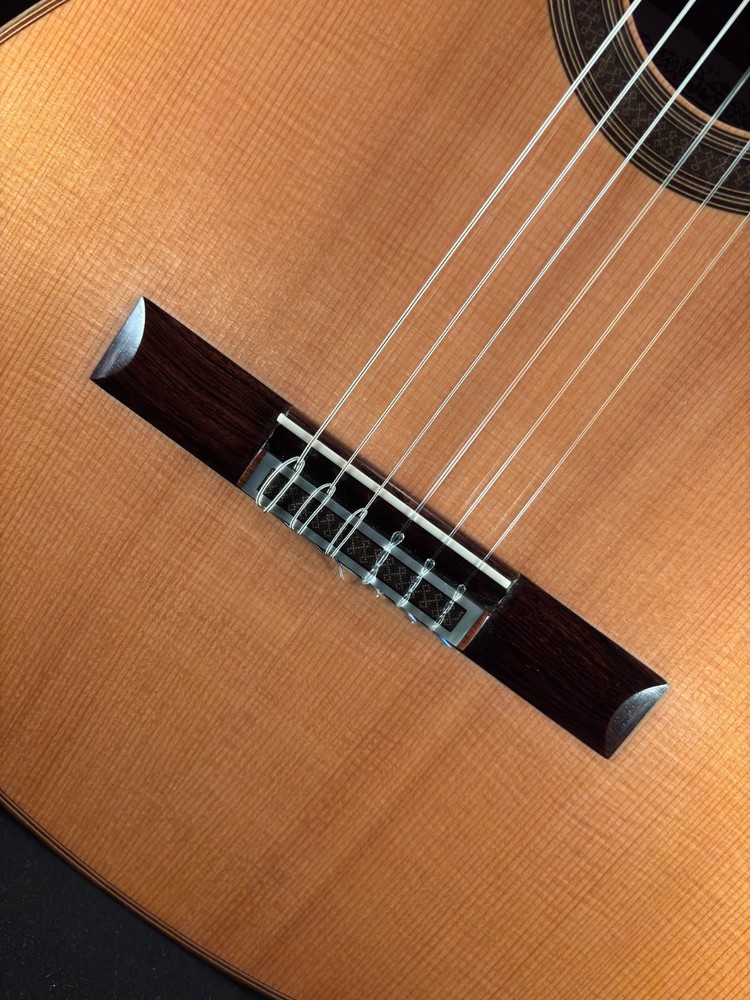 2009 Antonio Marin-Montero Classical Guitar