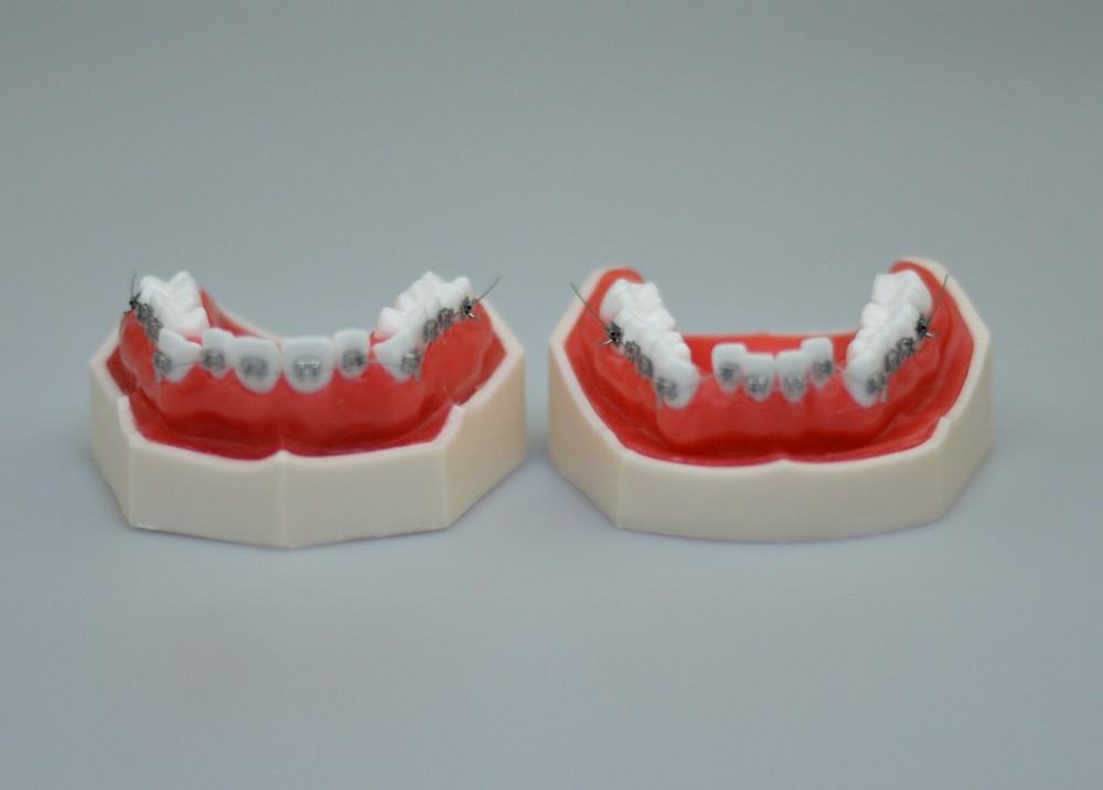 New Reusable Dental Practical Training Model/typodont/orthodontics Wax Model