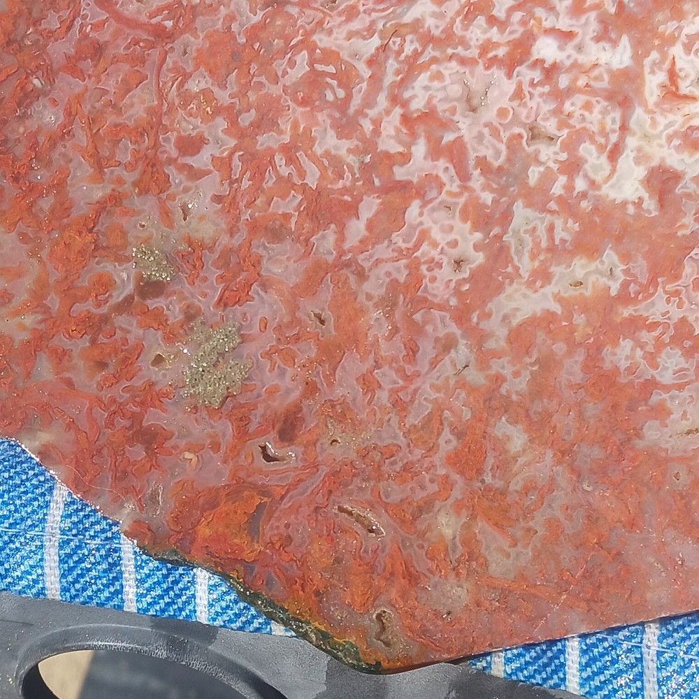 BIG Moss Agate Slab Ready For Lapidary