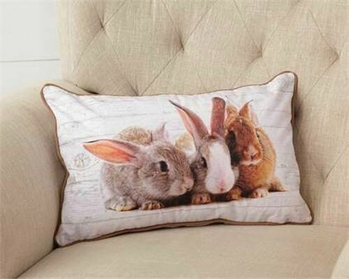 Audrey's. Easter, Decorative Pillow, BUNNIES, Double Sided