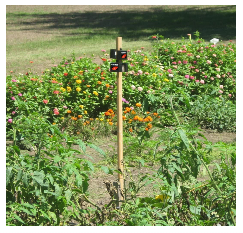 2 Pack Predator Guard Solar Power LED Deterrent Light Night Time Animal Repeller