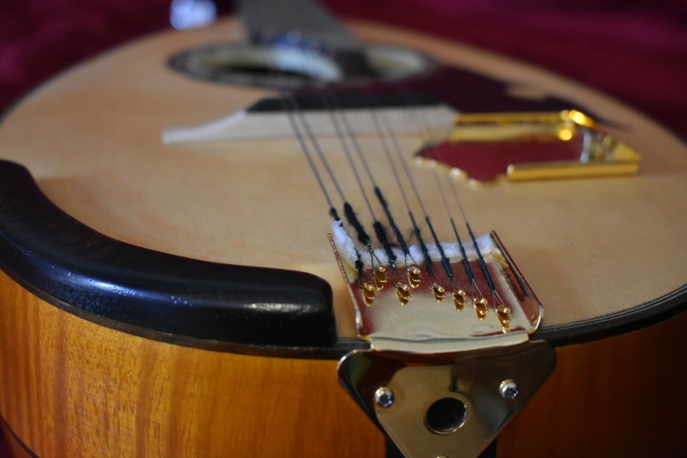 German style mandolin. UNIQUE! 德国风格的曼陀林。独特！ 。