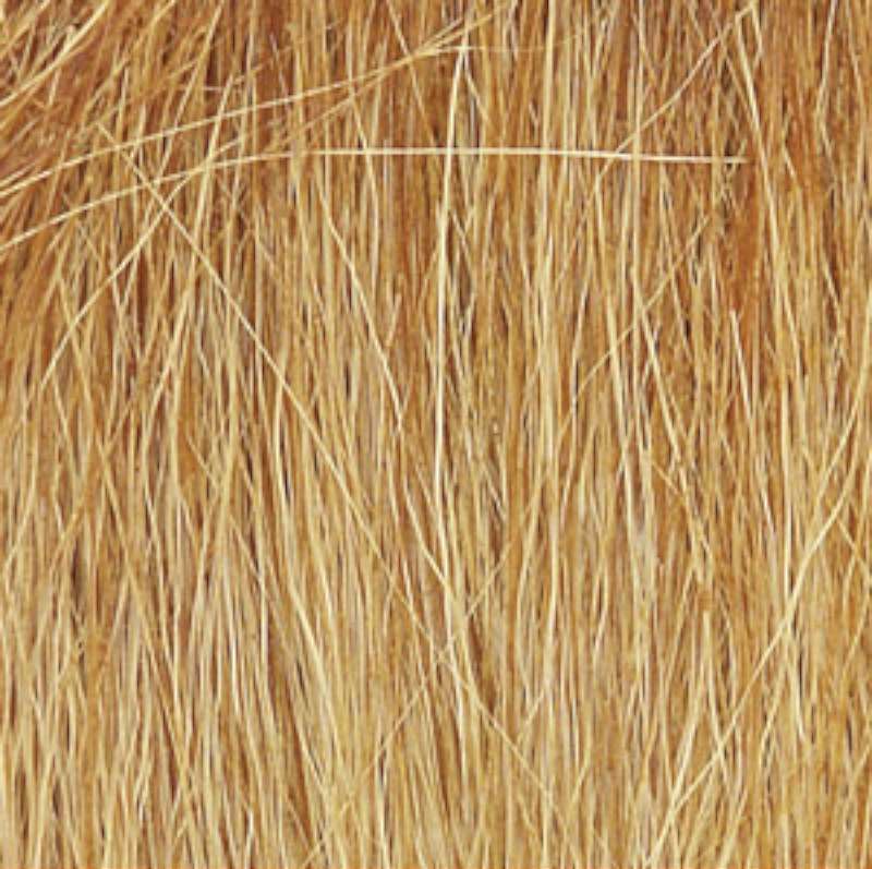 Field Grass- Harvest Gold (8gms Bag/Cd)