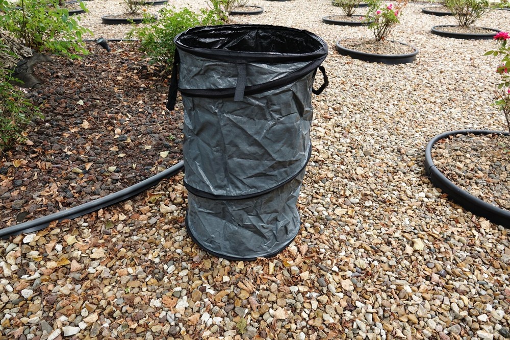 DeWitt Collapsible Container
