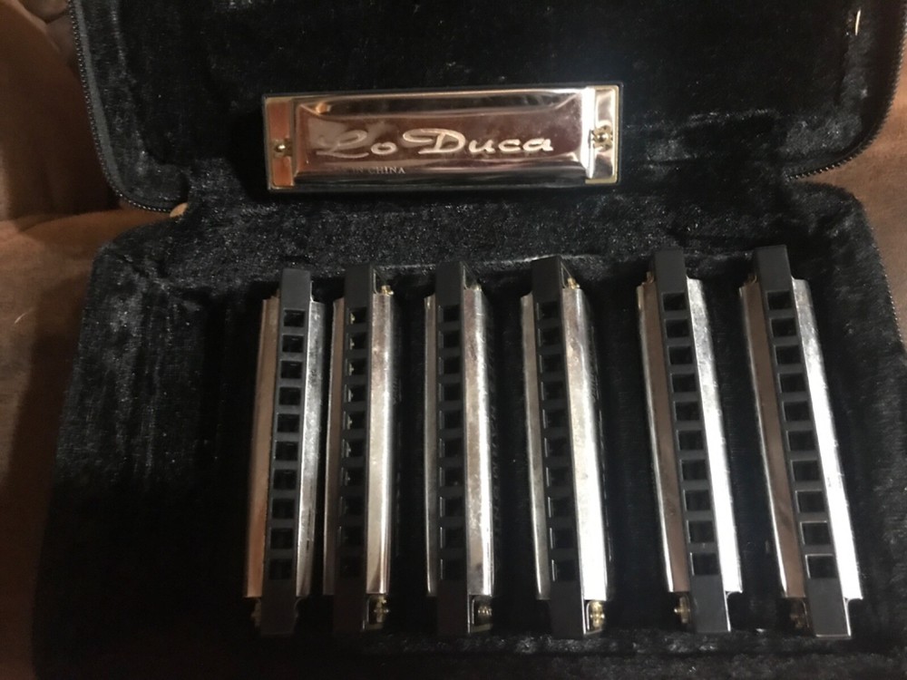 LoDuca 7 Pc. Blues Harmonica Set with Case