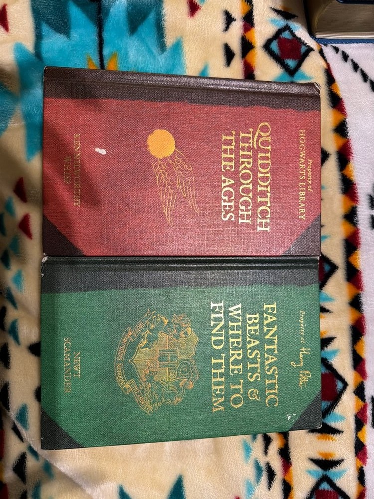 Harry Potter Hogwarts Library Set Of 2