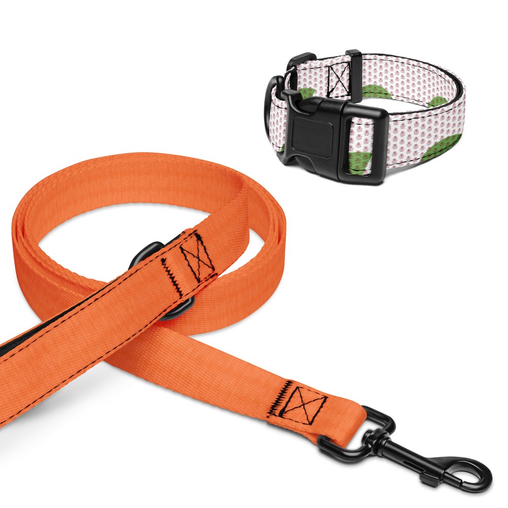 Pet collar & leash