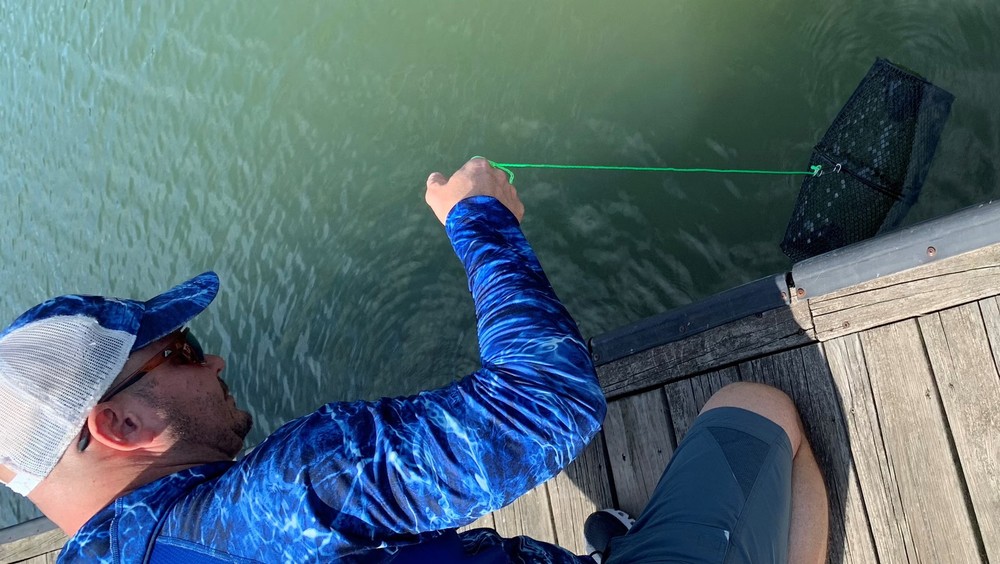 Frabill Torpedo Minnow Trap Mesh Black