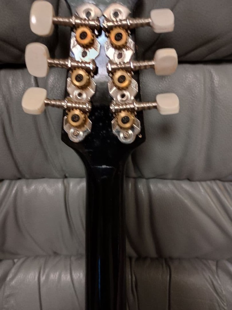 Beautiful item Rare item Flower pattern Mandolin with case