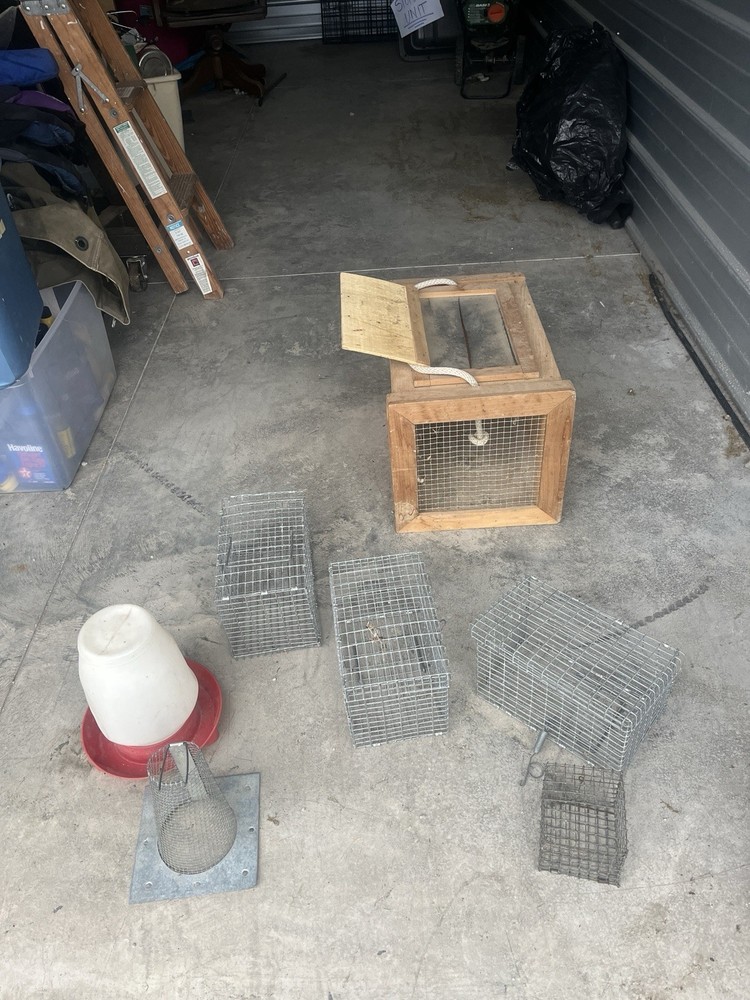 Dog training equipment, bird handling boxes