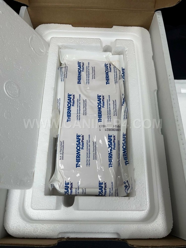 Canine Express Sperm Insulated Transport Shipper