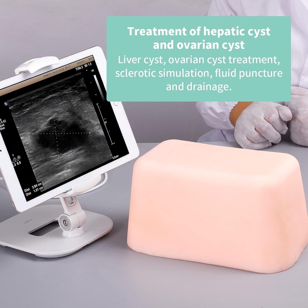 Ultrasound Puncture Abdominal Model Practice Kits Biopsy Puncture Train Teaching