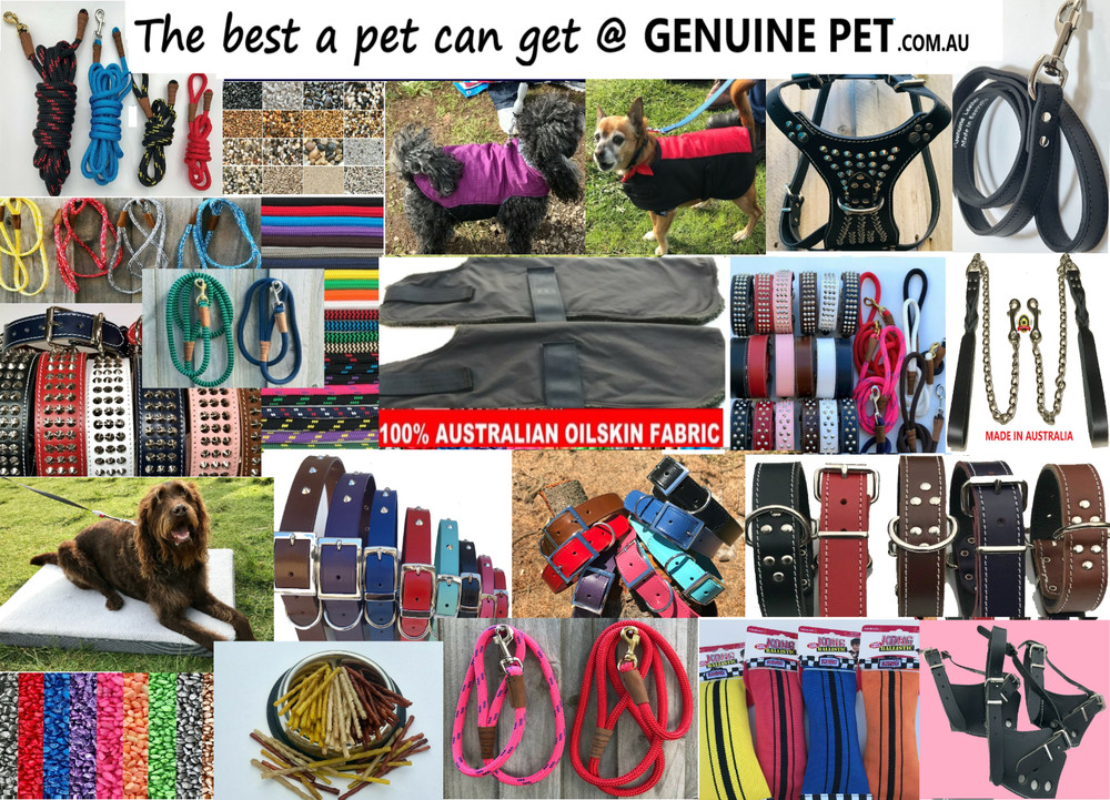 Multi-Function Dog Lead Training Leash Collar Webbing