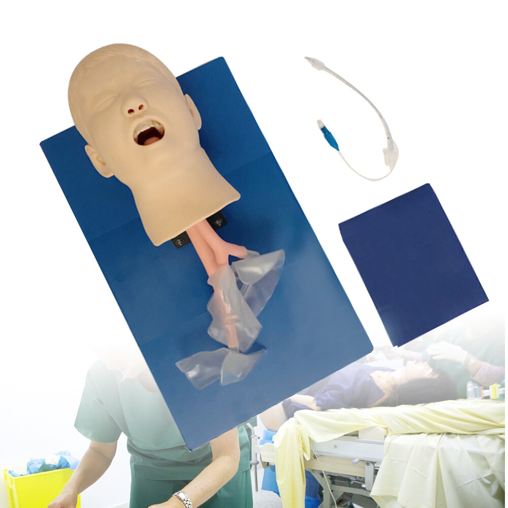 Intubation Manikin Study Teaching Training Model Airway Management Trainer Model