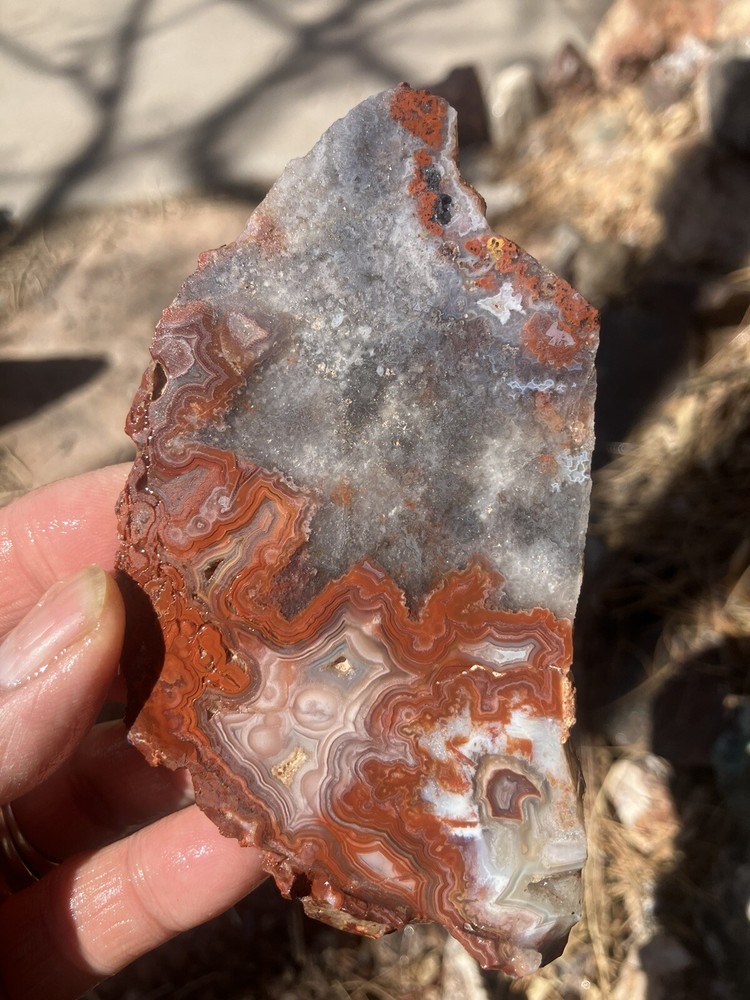 Crazy Lace Agate Slab