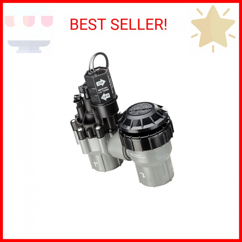 Rain Bird DASASVF100 Professional Grade Anti-Siphon Valve with Flow Control, 1"