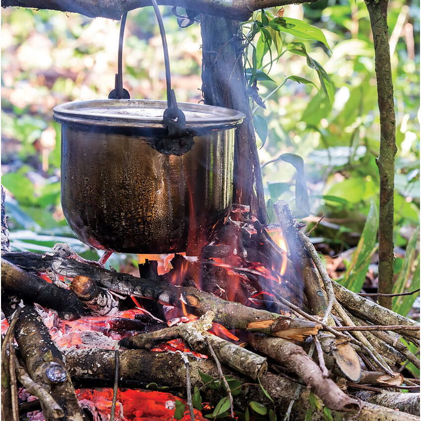 New QuickSurvive Fire Starter 50 Pack QS-50