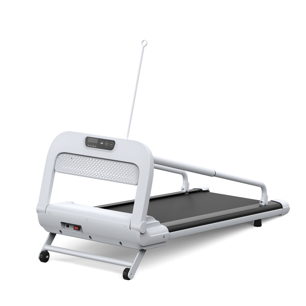 2025 2-in-1 Quiet Smart Pet Treadmill Adjustable Speed for Dog Remote Control