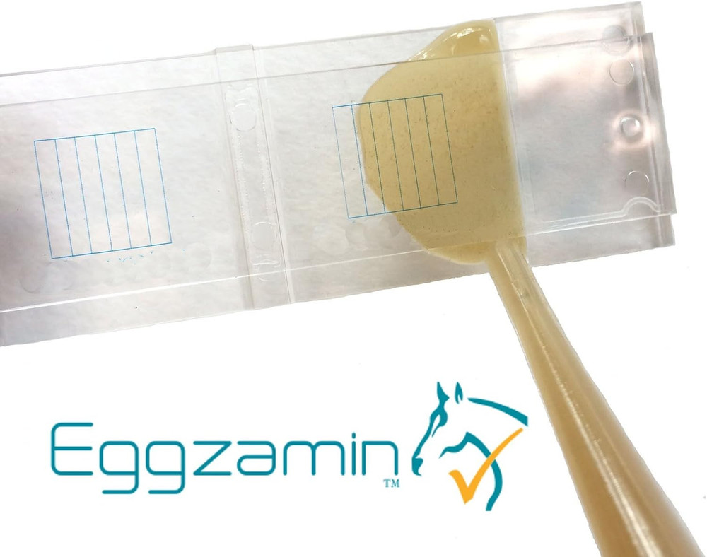 Mcmaster Method Microscope Slide - FEC (Fecal Egg Count) or Worm Count, Double