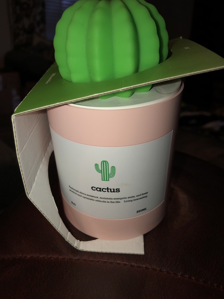 Cactus Humidifier USB Humidifier New Open Box