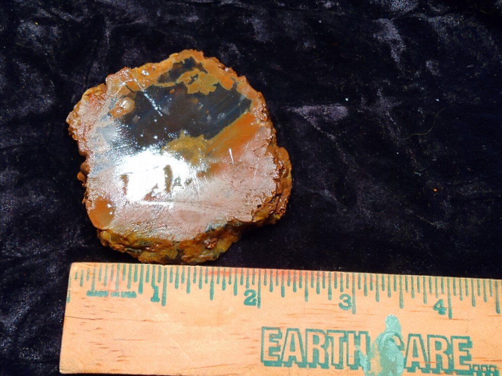 Richardson Ranch Waterline Agate Rough Slab