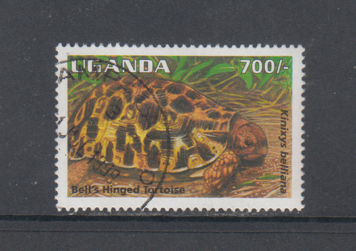 UGANDA  :  1995  - USED - SCOTT #  1336  TORTOISE