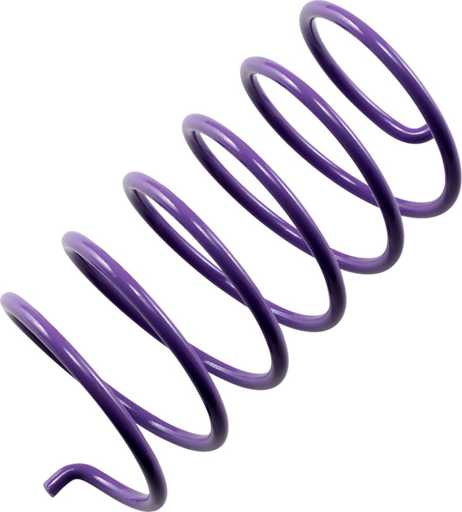 EPI Purple Secondary Clutch Spring (PDS-6)
