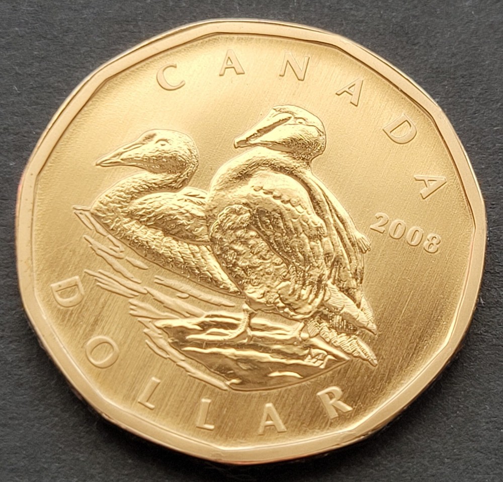 ***  CANADA   LOONIE  2008  ***  SPECIMEN  ***  COMMON   EIDER  ***