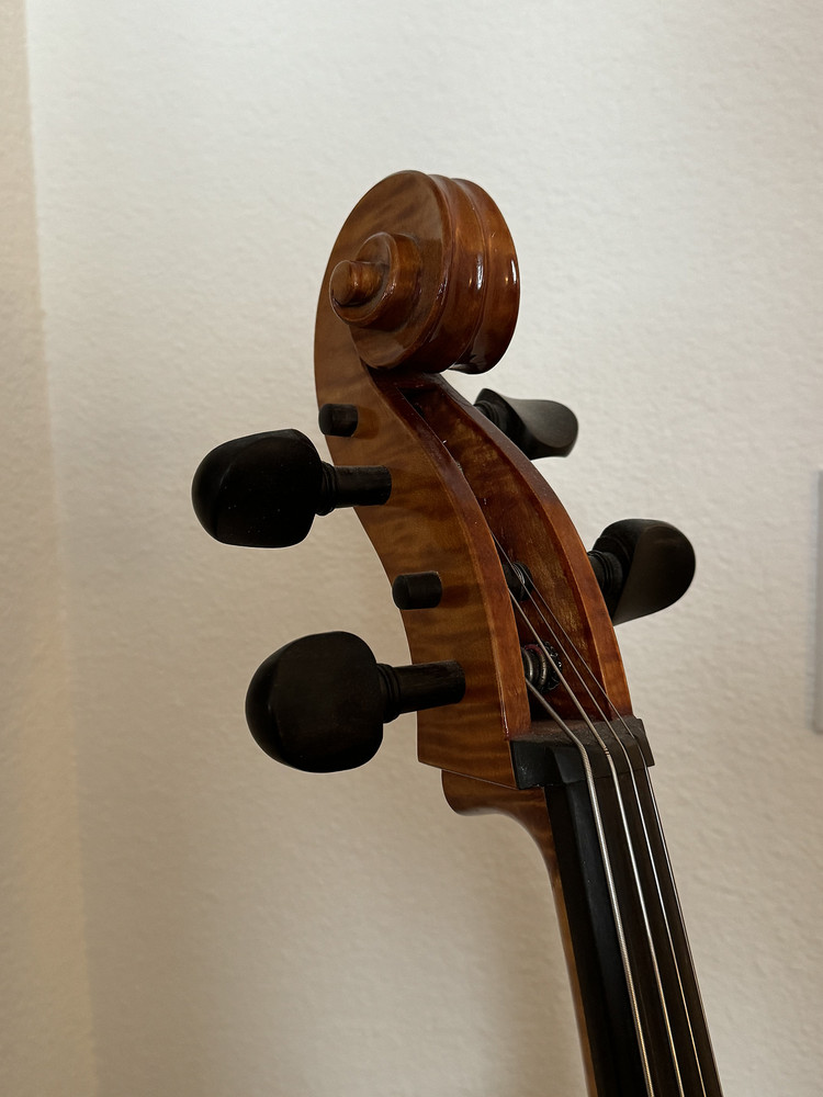 Eastman Cello 4/4, includes bow, hard case and stand, advanced