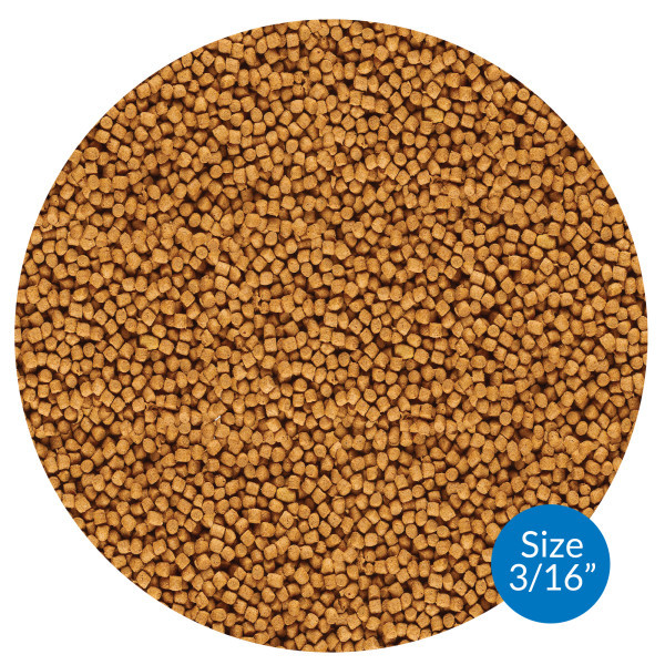 API Cool Water Pond Fish Food 11oz. 197