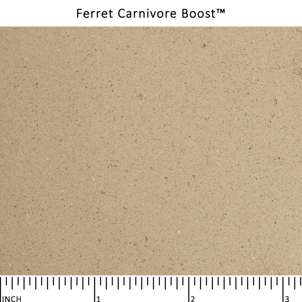 Ferret Carnivore Boost™