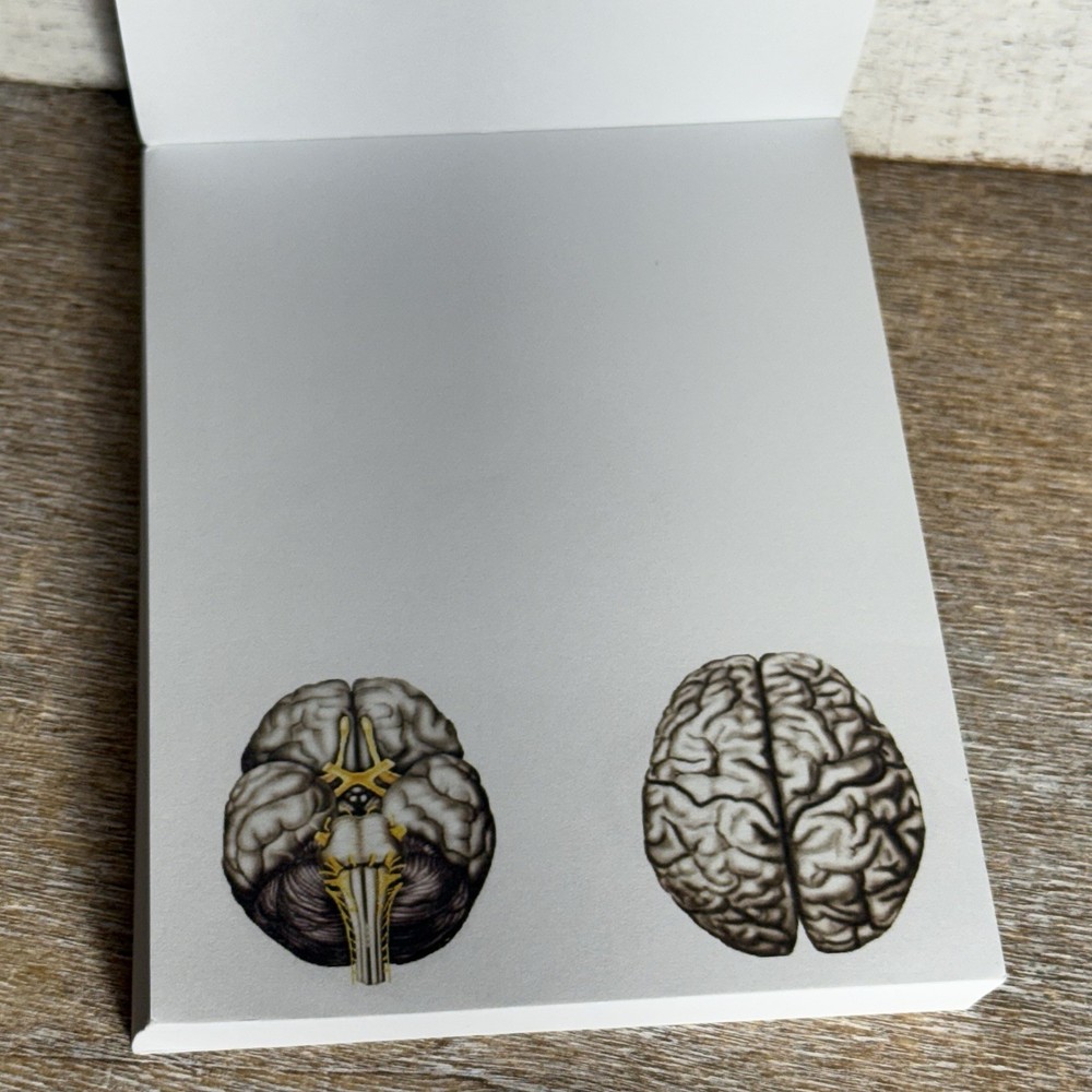 Blue Tree Publishing Assorted Brain Scanned Photos Note Pad 99 Sheets Left 5"x4"