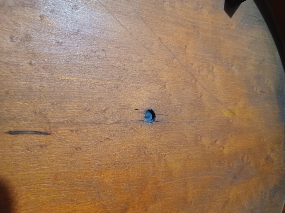 Bacon banjo banjolin