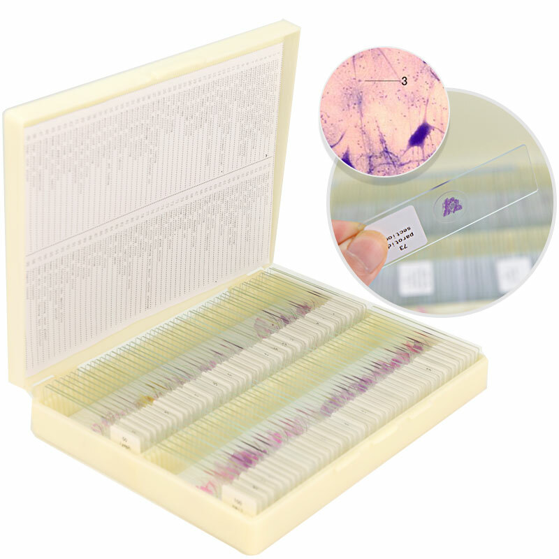 100PCS Mammal Tissue Sections Histology Prepared Specimen Microscope Slides