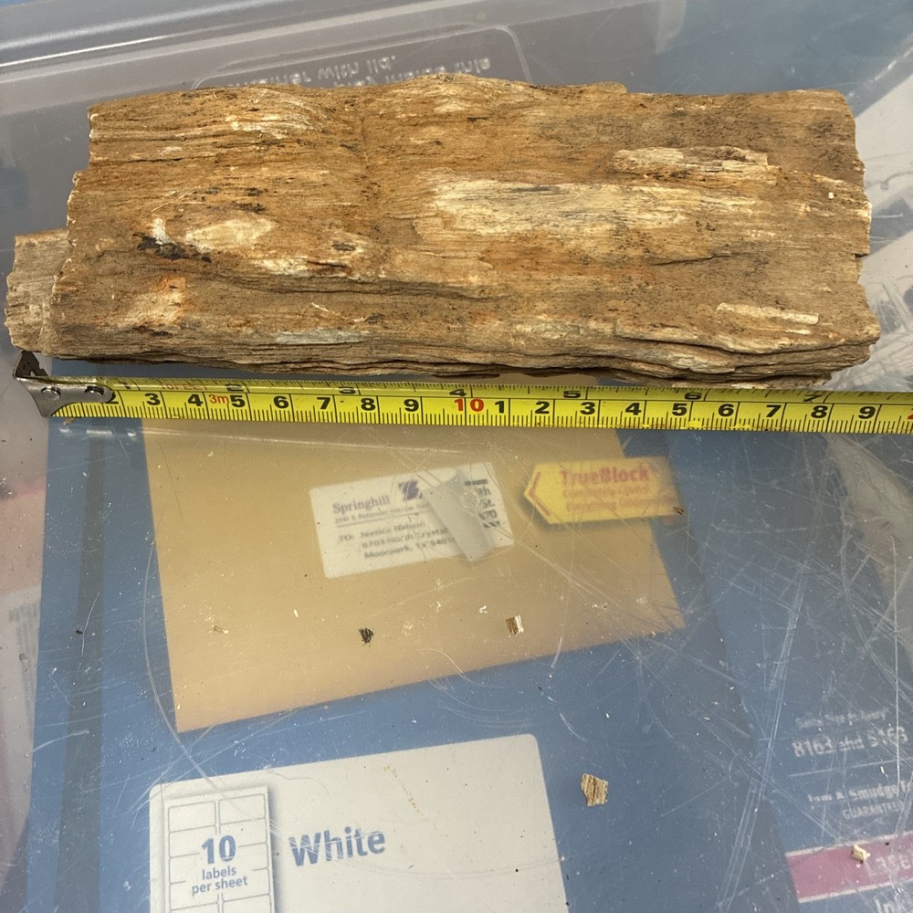 petrified wood rough