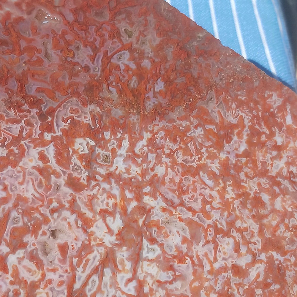 BIG Moss Agate Slab Ready For Lapidary