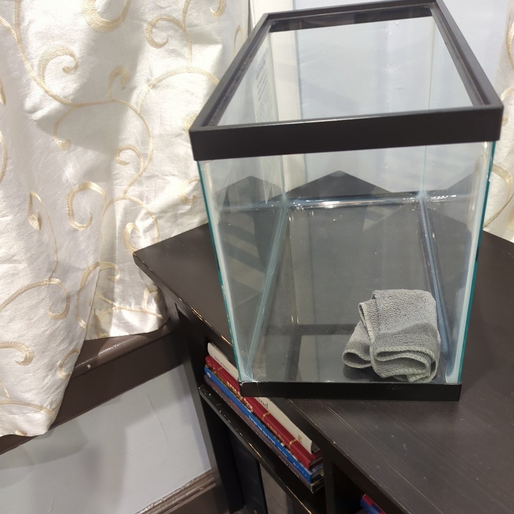 Glass Aquarium