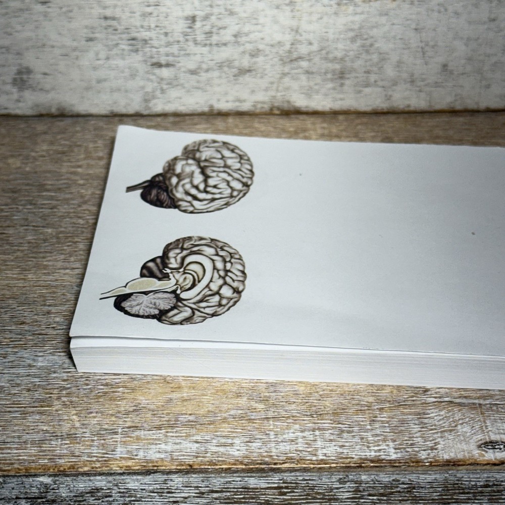 Blue Tree Publishing Assorted Brain Scanned Photos Note Pad 99 Sheets Left 5"x4"