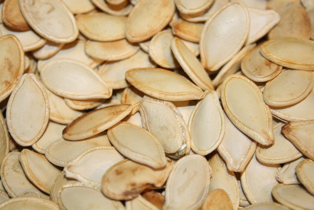 PUMPKIN SEEDS IN SHELL ROASTED UNSALTED, 5LBS