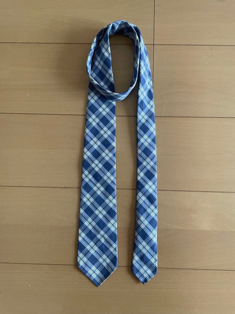FrancoMinucci tie cotton blue check
