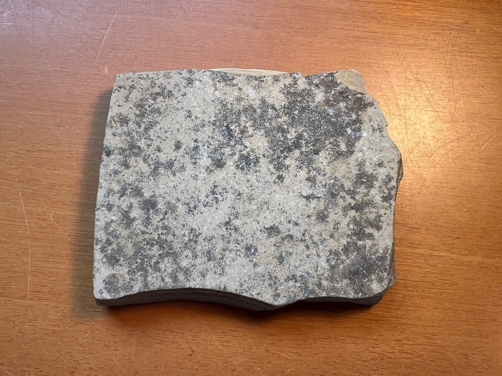 FISH FOSSIL in Sedimentary Rock!