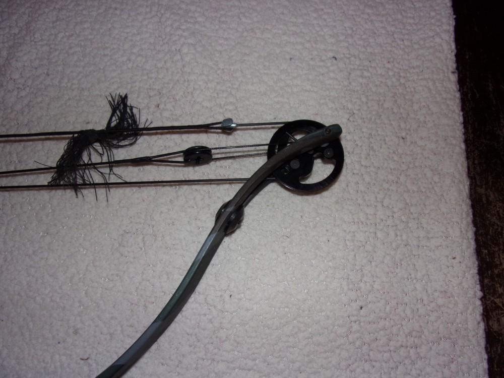 Golden Eagle Super Hawk Compound Bow