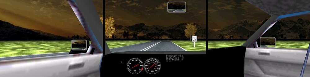 Pro Driving Simulator Software for Training and Testing - 3 Monitor