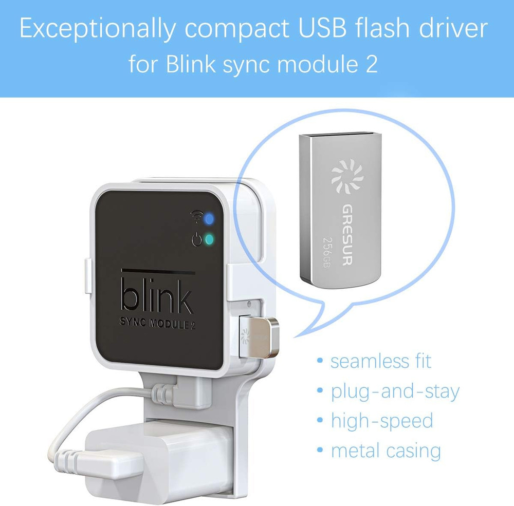 256GB USB Flash Drive for Local Video Storage with the Blink Sync Module 2 Mount