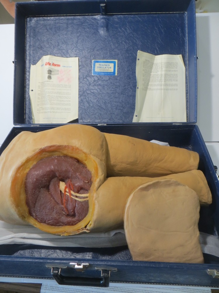 Nasco Life Form LF961 Intramuscular Injection Simulator