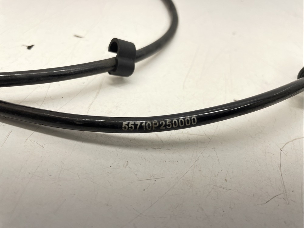♻️ Benelli Leoncino 500 E4 2016 - 2020 Rear ABS Sensor ♻️